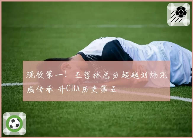 现役第一!王哲林总分超越刘炜完成传承 升CBA历史第五
