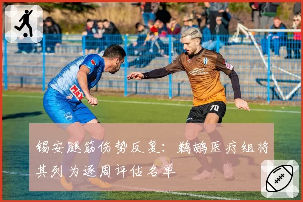 锡安腿筋伤势反复：鹈鹕医疗组将其列为逐周评估名单