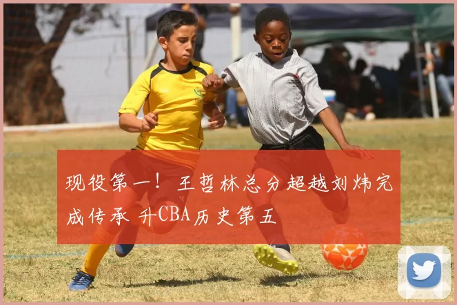 现役第一！王哲林总分超越刘炜完成传承 升CBA历史第五