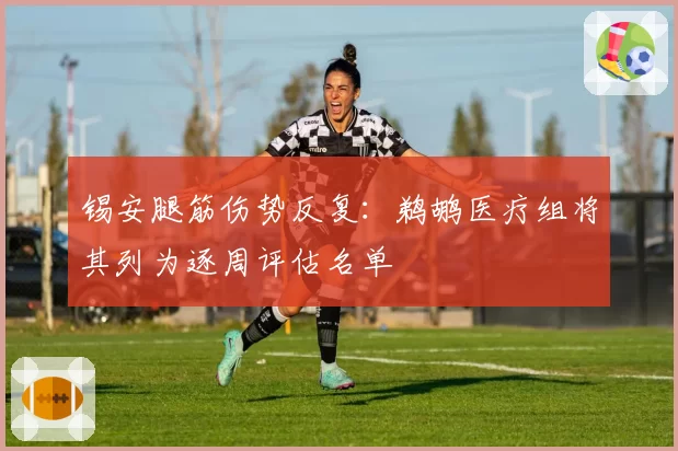 锡安腿筋伤势反复：鹈鹕医疗组将其列为逐周评估名单