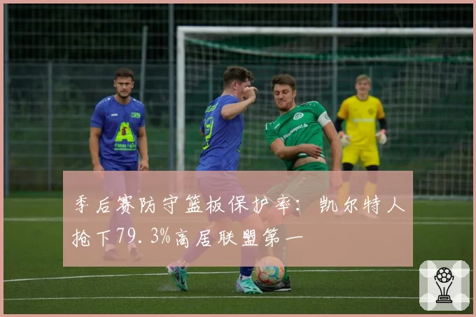 季后赛防守篮板保护率：凯尔特人抢下79.3%高居联盟第一