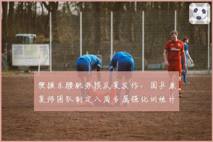樊振东腰肌劳损反复发作,国乒康复师团队制定八周专属强化训练计划
